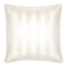 Decorative throw pillow N20