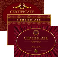 Elegant template of certificate diploma N33