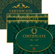 Elegant template of certificate diploma N34