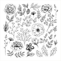 Hand drawn leaf and flower collection Vector illustration