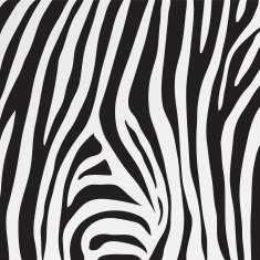vector zebra texture N5