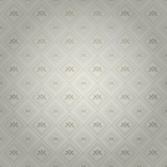 Wallpaper Background Silver N59