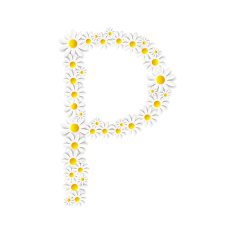 Flora Daisy Design Alphabet Vector Illustartion N52