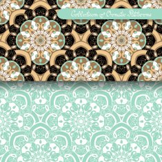 Set of 2 Seamless Vintage Patterns (Vector) N8