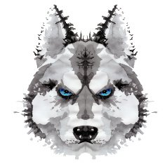 Husky dog painted watercolor illustration