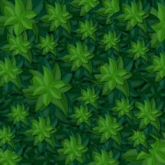 Green leaves and bush texture
