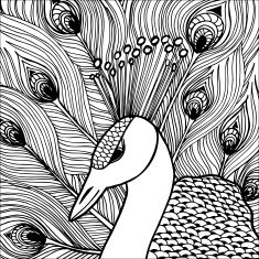 Decorative ornamental peacock Doolle style N4