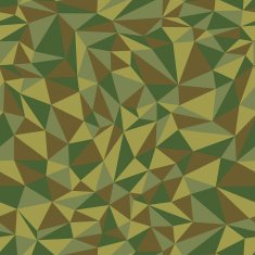Camouflage seamless pattern N5