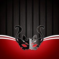 Carnival mask background N2