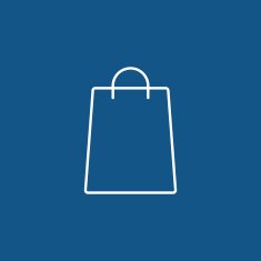 Shopping Bag Icon N56