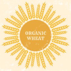 organic wheat