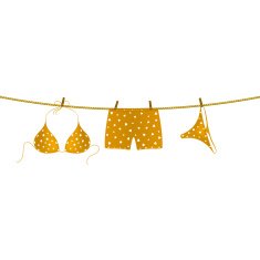 Bikini and boxer shorts hanging on rope N3