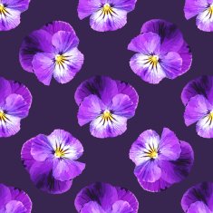 Seamless pattern with pansies on a dark background