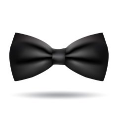 Vector bow tie icon isolated on white background N4