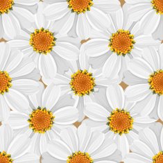 Floral seamless pattern - daisy N3