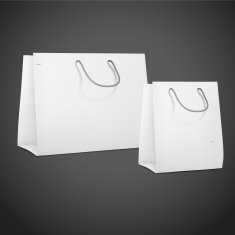3d blank shopping bags