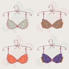 Sexy vintage bra