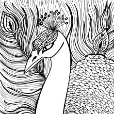 Decorative ornamental peacock N8