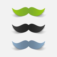 realistic design element mustache N29