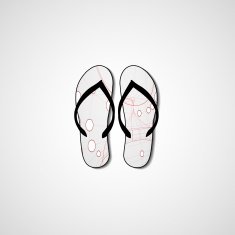 Abstract illustration on flip flops N158