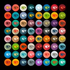 Flat design eye N5
