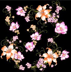 beautiful lily N3