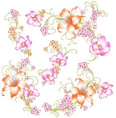 beautiful lily N5
