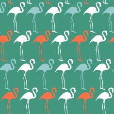 Flamingos N2