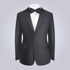 Male Clothing Stiped Dark Suit with Bow Tie Vector