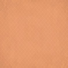 Hipster vintage retro background 8