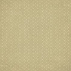 Hipster vintage retro background 8 N2