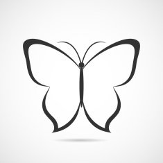 vector butterfly icon or background N2