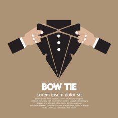 Bow Tie N19