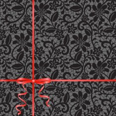 lace fabric background N21