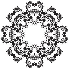 Lace ornament round doily geometric flower pattern floral holiday N21