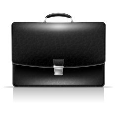 Briefcase N15