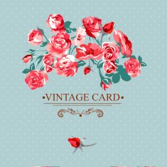Vintage floral lace background with roses N10