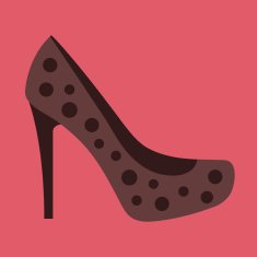 Vector Women Shoe Icon N2