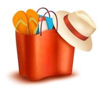 Beach bag with swimming suit Vector