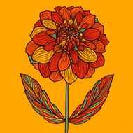 Hand drawn Dahlia flower N3