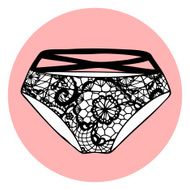 Lacy sexy vector panty N5