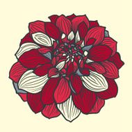 Hand-drawn flower of dahlia