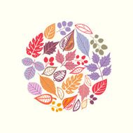 autumn leaf background N26