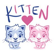Kittens N16