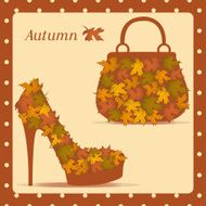 Beautiful female shoes and bags - Illustration