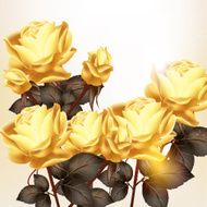Beautiful vector background with roses