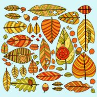 autumn leaves N28