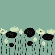Water Lily N2