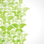 Green butterfly background