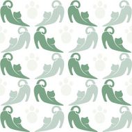 Wallpaper images of cat N2